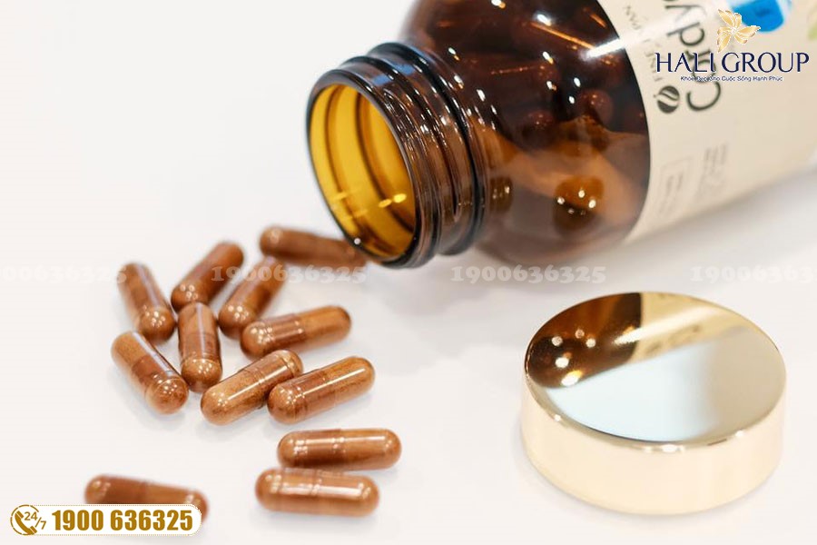 Viên Đông Trùng Hạ Thảo Fine Japan - sản phẩm tuyệt vời cho những đối tượng cần bồi bổ cơ thể