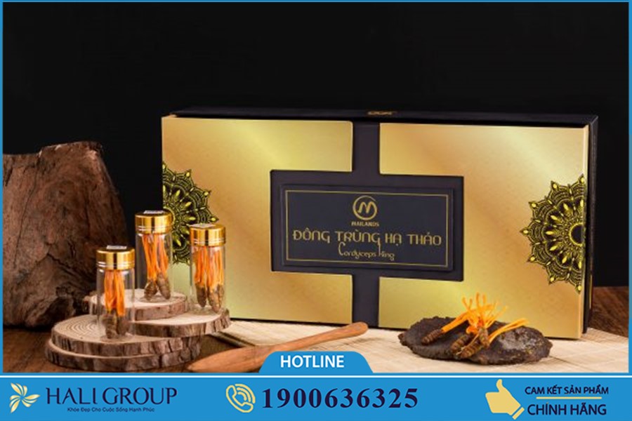 Những điều cần biết về Nhộng Mailands trên toàn quốc
