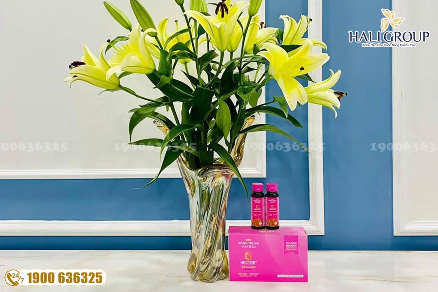 Tác dụng làm đẹp từ đông trùng hạ thảo